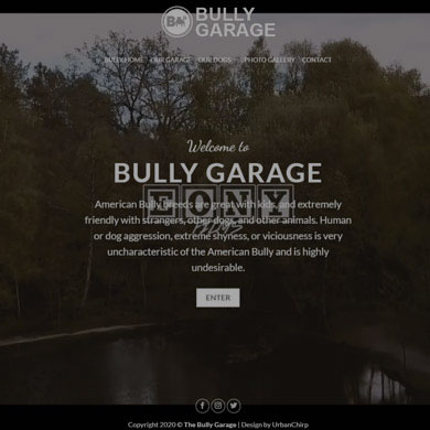 Bully Garage Website Project